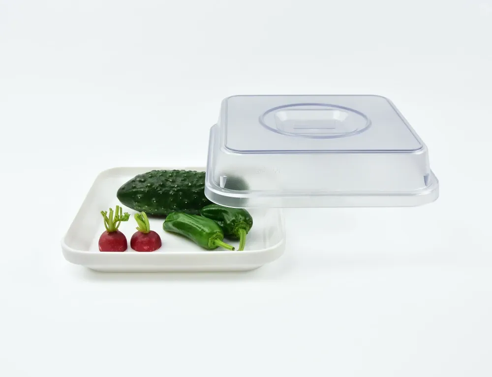 SYSTEM-ABDECKHAUBEN zu Porzellanteller quadratisch 20 x 20 cm