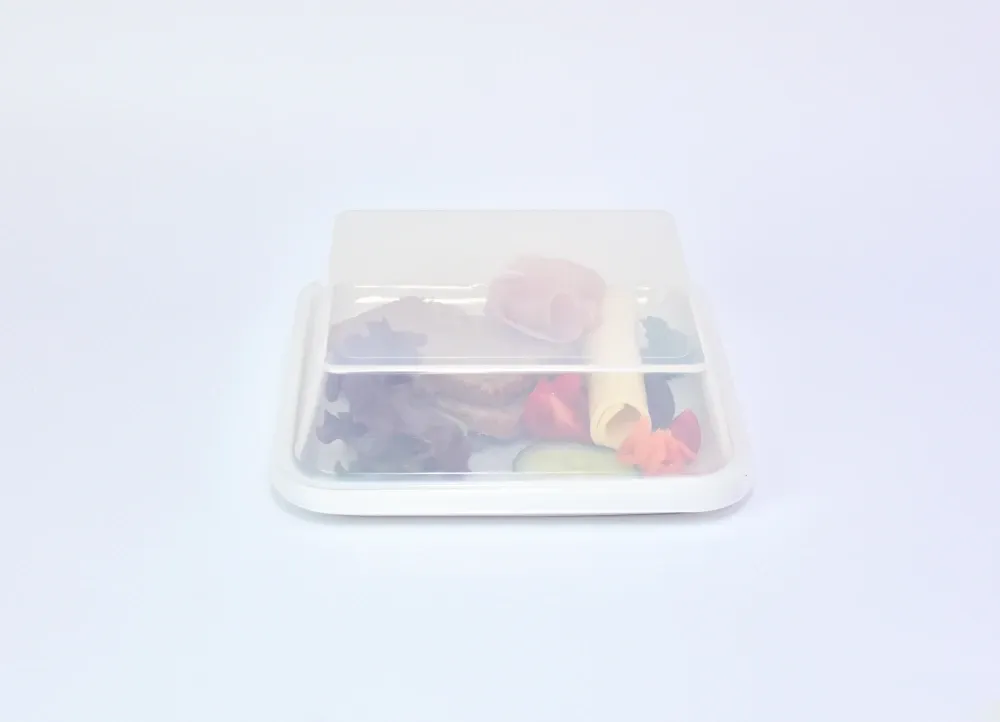 EURO-System-Abdeckhaube quadratisch natur-transparent, 180 x 180 mm, 50 mm hoch, PP
