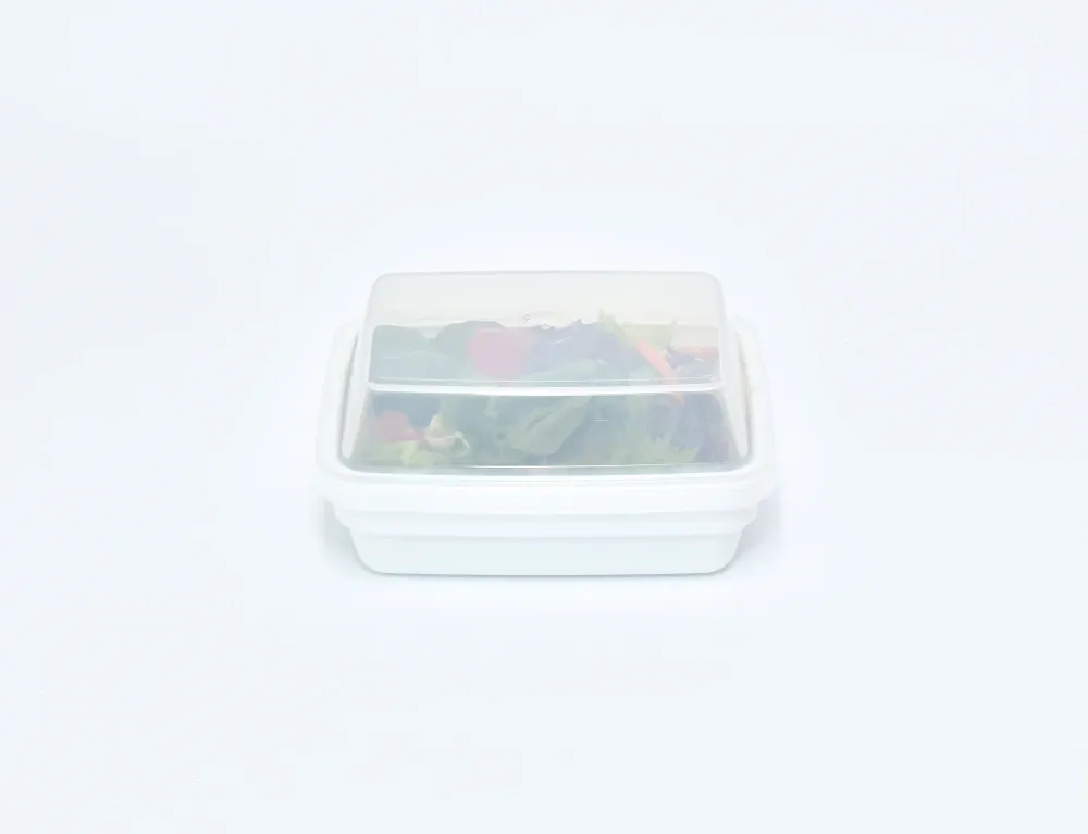 EURO-Systemdeckel rechteckig natur-transparent, 120 x 90 mm, PP